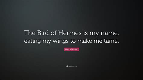 bird of hermes is my name